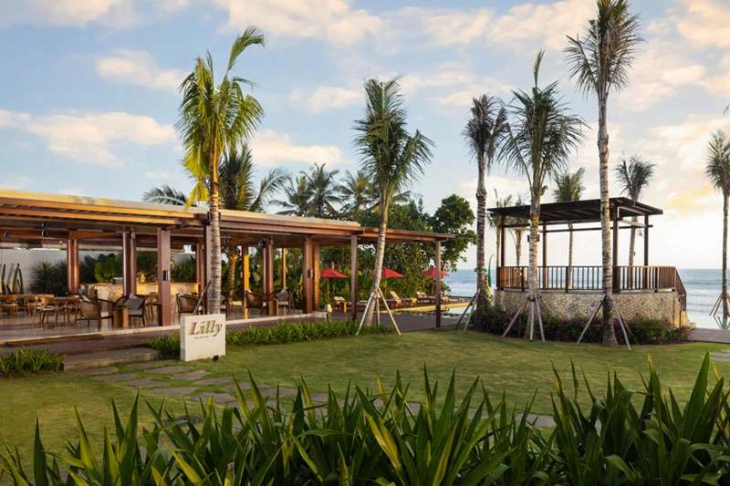 Dine Lily By The Sea