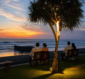 Sit back, slow down, and let the ocean tell its story.